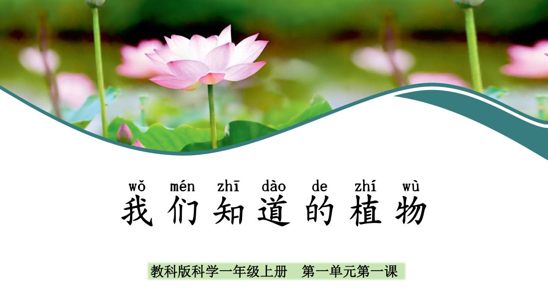 封面 · 我们知道的植物