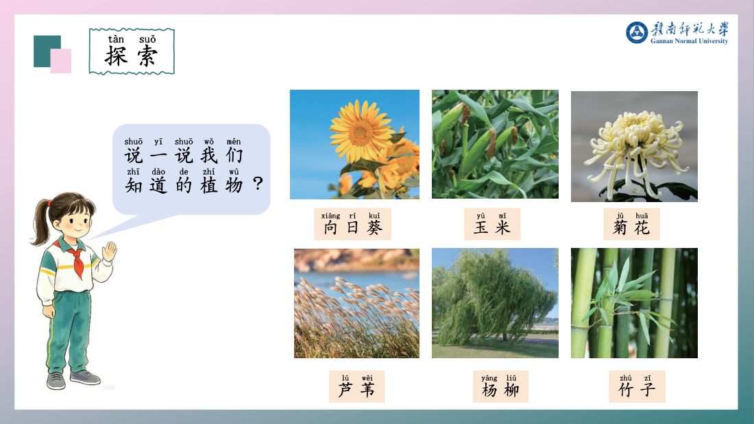 探索 · 说一说我们知道的植物