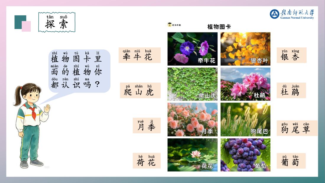 探索 · 植物图卡认一认