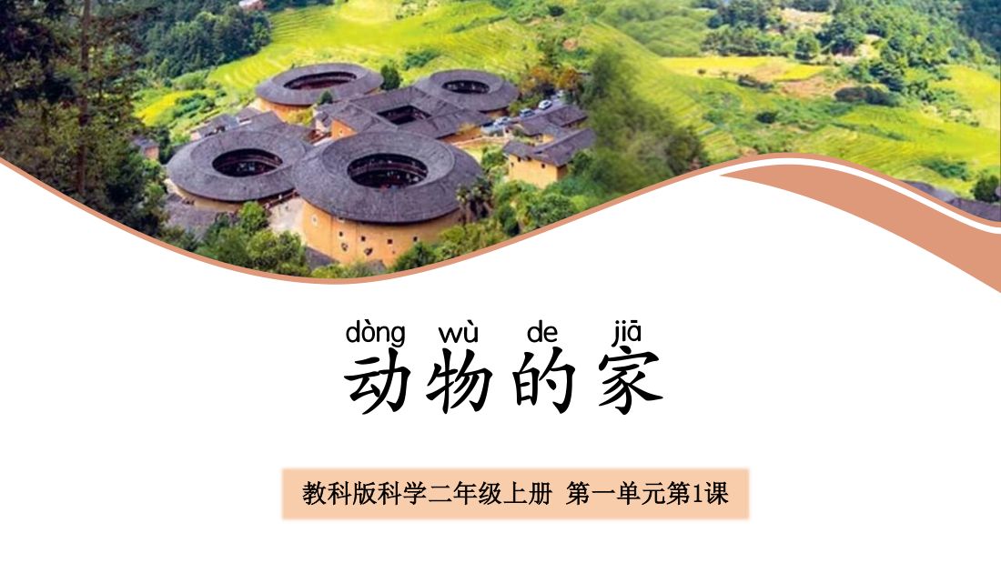 封面 · 动物的家