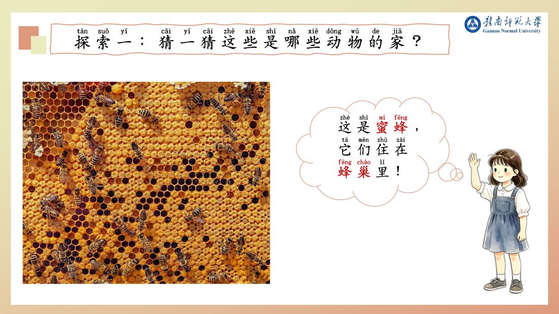 探索一 · 蜂巢