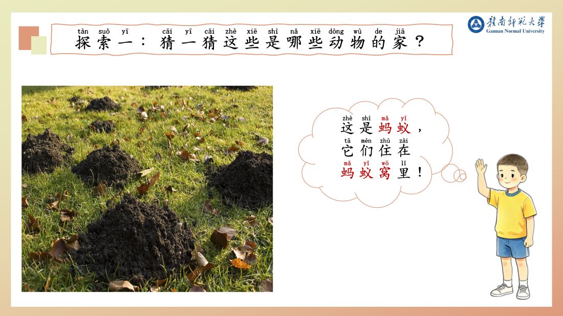探索一 · 蚂蚁窝