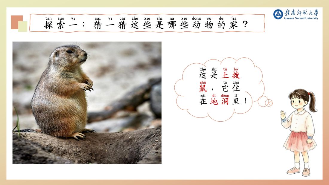 探索一 · 地洞（土拨鼠）
