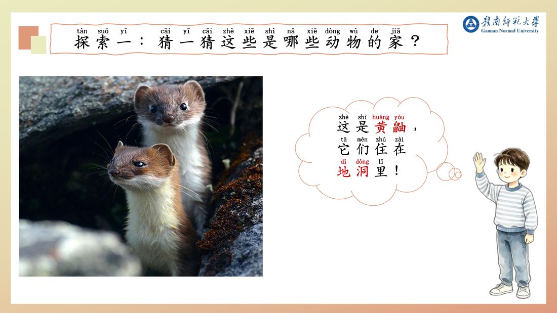 探索一 · 地洞（黄鼬）