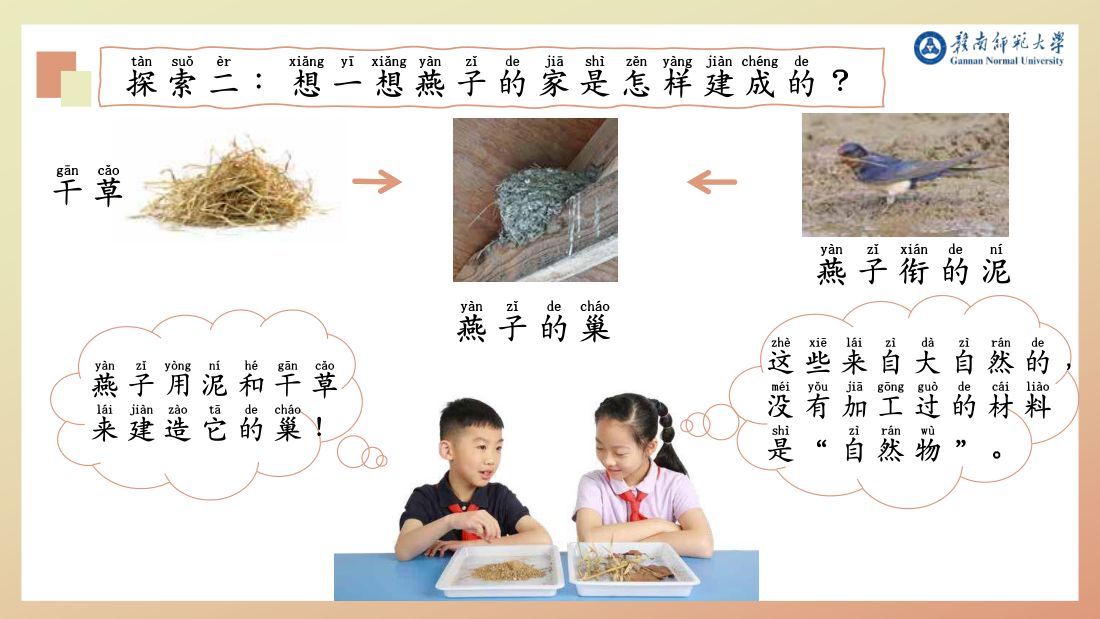 探索二 · 燕子怎样建巢（自然物）