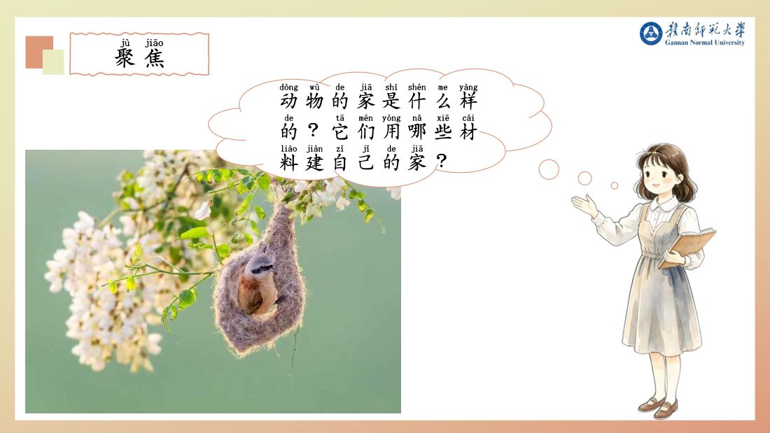 聚焦 · 动物的家是什么样的？