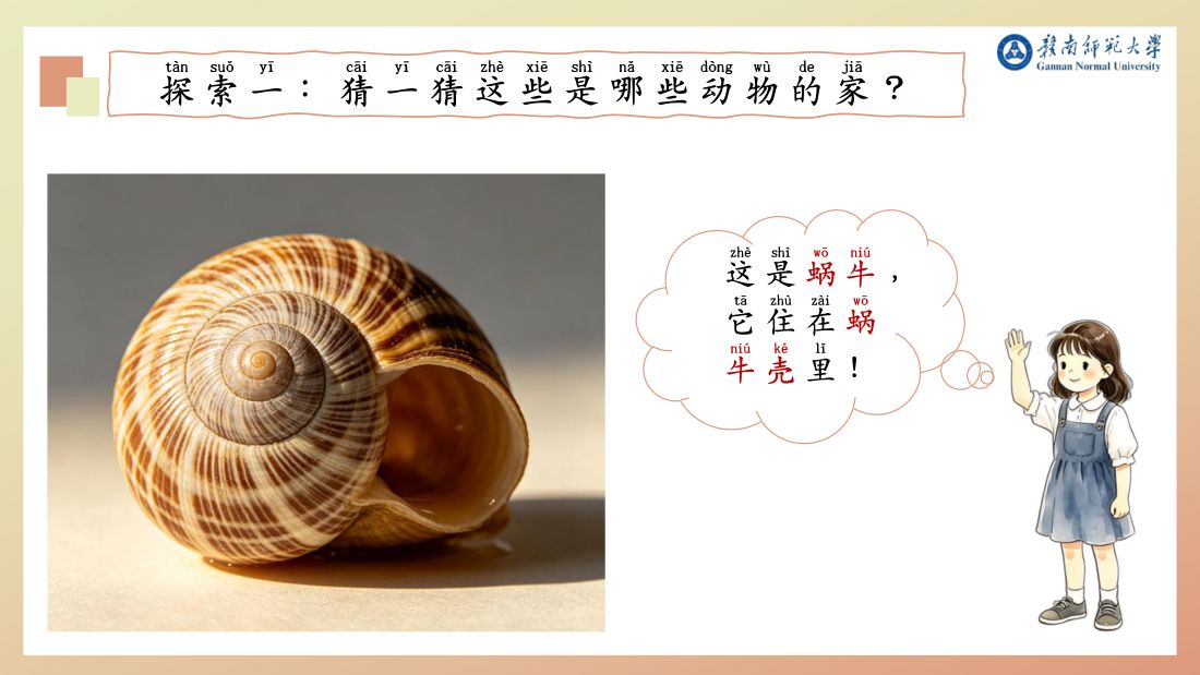 探索一 · 蜗牛壳