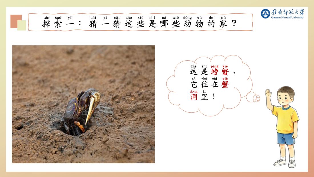 探索一 · 蟹洞
