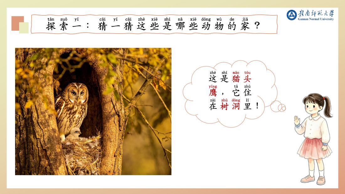 探索一 · 树洞（猫头鹰）