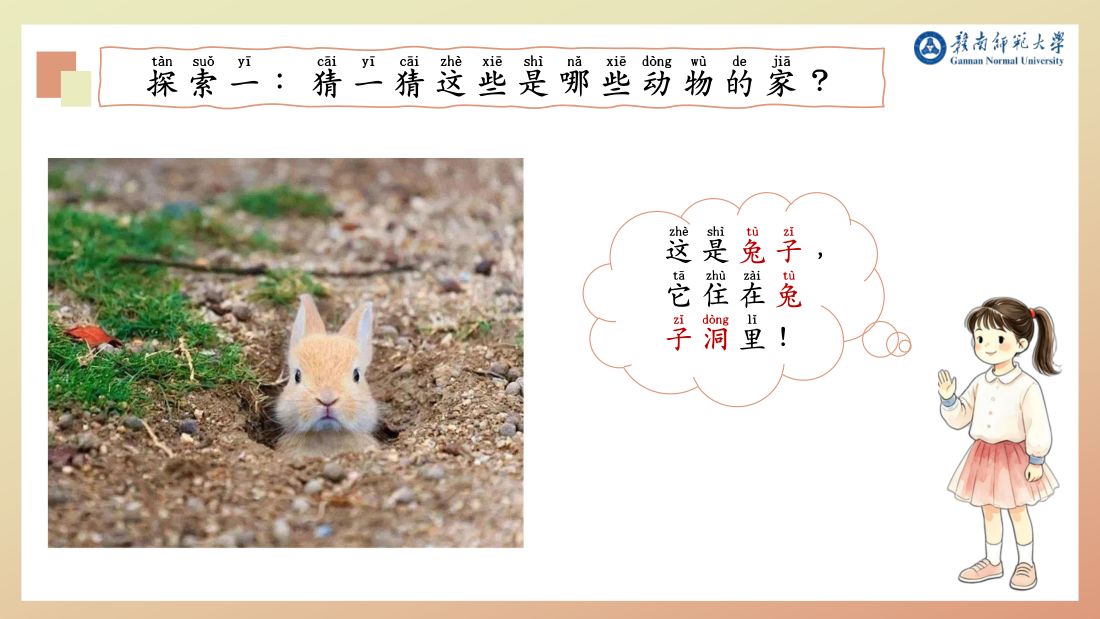 探索一 · 兔子洞